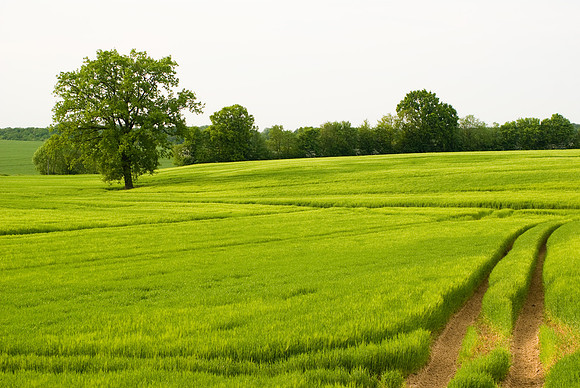 Ca ne ressemble pas à la Toscane