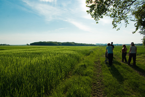 Promenade tout-terrain