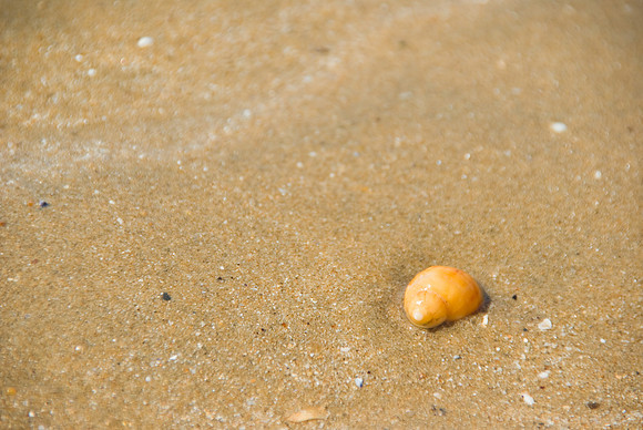 La Tranche-sur-Mer - 17 juillet 2008 11h36