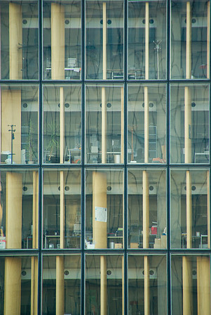 Automne ensoleillé à la BNF (Paris) - 11 octobre 2008 17h05-2
