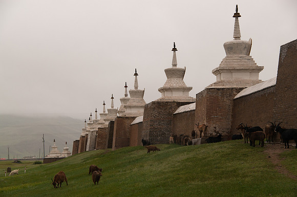 Mongolie - 06 août 2012 11h14
