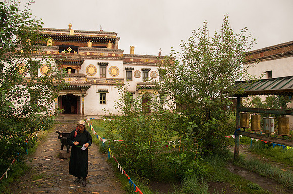 Mongolie - 06 août 2012 12h12