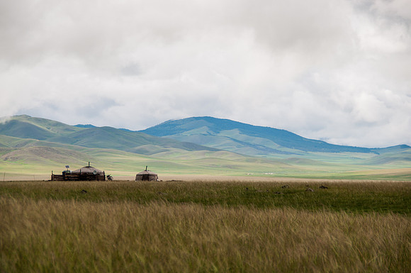 Mongolie - 06 août 2012 16h52