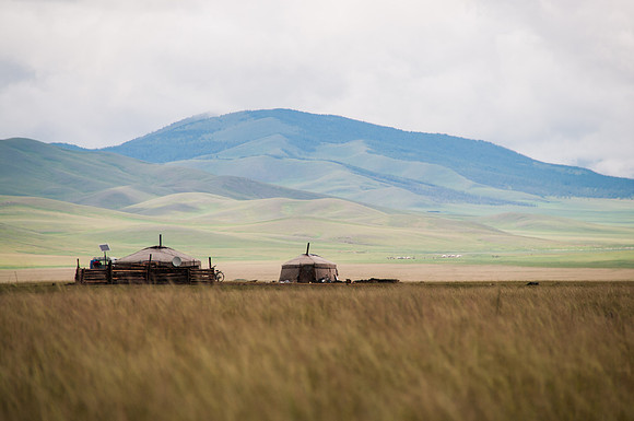 Mongolie - 06 août 2012 16h53