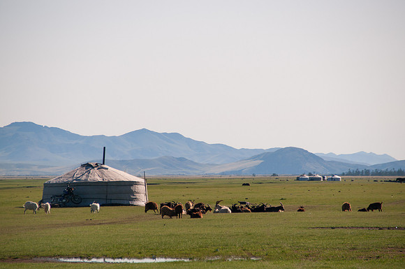 Mongolie - 07 août 2012 08h53