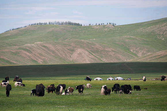 Mongolie - 07 août 2012 12h48
