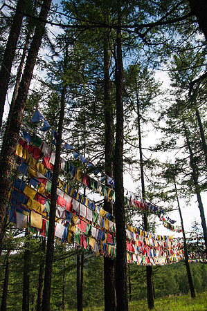 Mongolie - 07 août 2012 18h06