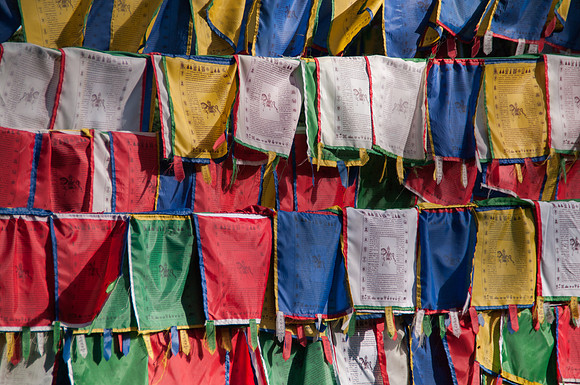 Mongolie - 07 août 2012 18h06-2