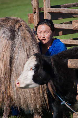 Mongolie - 08 août 2012 09h29