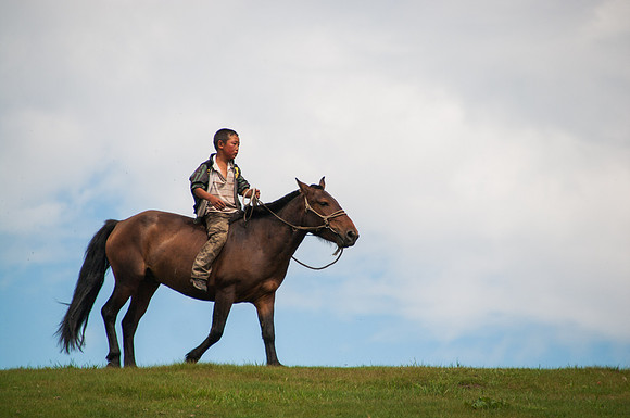 Mongolie - 10 août 2012 12h07
