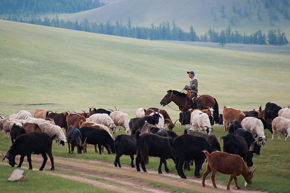 Mongolie - 11 août 2012 14h34