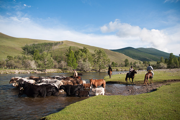 Mongolie - 11 août 2012 18h12