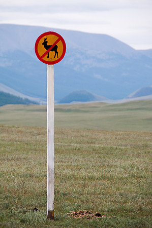 Mongolie - 12 août 2012 10h07