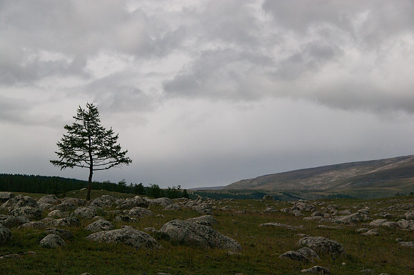 Mongolie - 13 août 2012 13h28