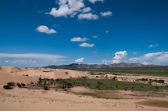 Mongolie - 16 août 2012 14h59