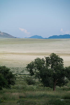 Mongolie - 16 août 2012 18h03