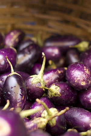 Couleur aubergine