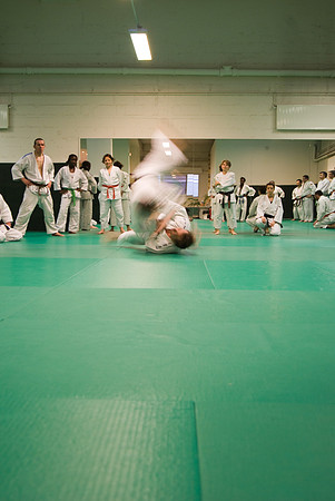 Ju-jitsu - 15 avril 2008 20h31