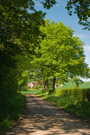 Dernier bout de chemin avant l'arrivée
