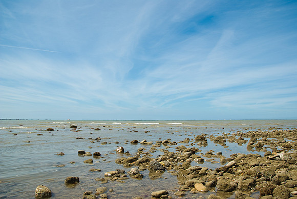 La Tranche-sur-Mer - 17 juillet 2008 11h54