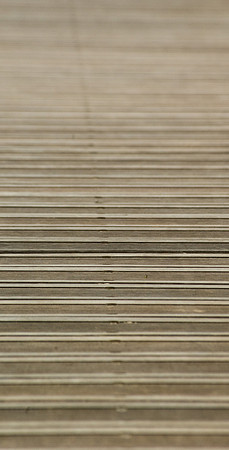 Jardin de la Cité Prost (Paris) - 04 mai 2008 16h16