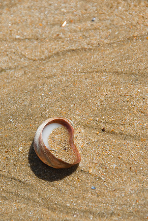 La Tranche-sur-Mer - 17 juillet 2008 12h14