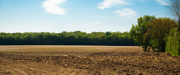 En plein champ fraîchement labouré
