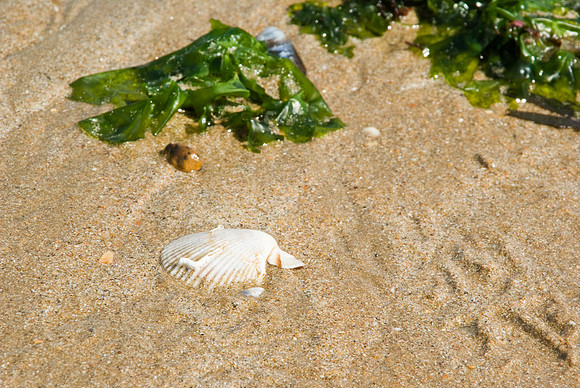 La Tranche-sur-Mer - 17 juillet 2008 11h32