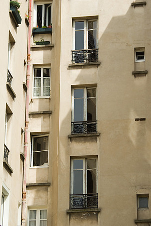 Jardin de la Cité Prost (Paris) - 04 mai 2008 15h27