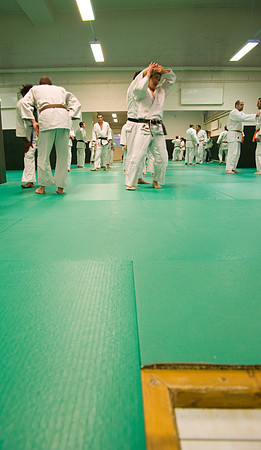 Ju-jitsu - 15 avril 2008 20h27