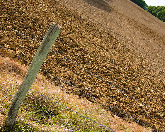 Bordure