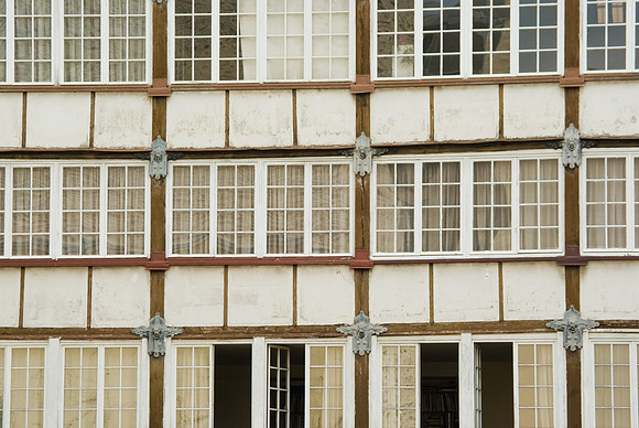 Jardin de la Cité Prost (Paris) - 04 mai 2008 16h20-2