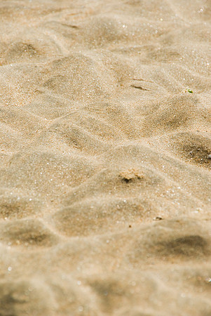 La Tranche-sur-Mer - 17 juillet 2008 11h29-2